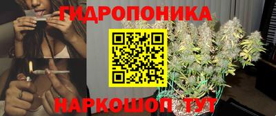 jwh Будённовск