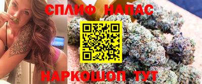 jwh Будённовск