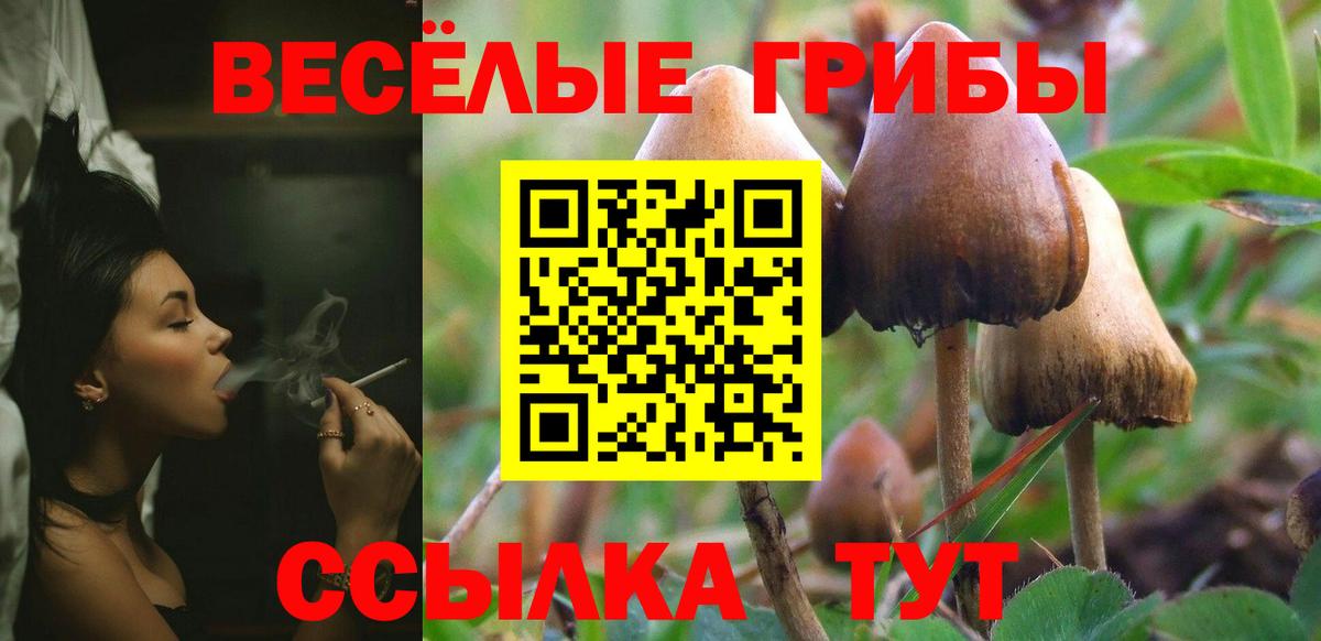 магазин  наркотиков  Галлюциногенные грибы Magic Shrooms  Серов  Вход с VPN  Галлюциногенные грибы ЛСД 